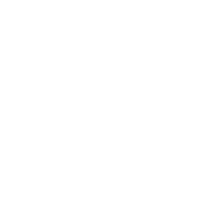 NSL Backup